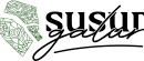 SG - base
